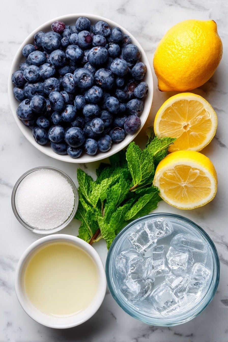 Homemade Blueberry Soda Recipe - Ingredients Image — Homemade Blueberry Soda, Blueberry Soda, Blueberry Sparkling Drink, Fresh Blueberry Soda, Homemade Soda Recipes
