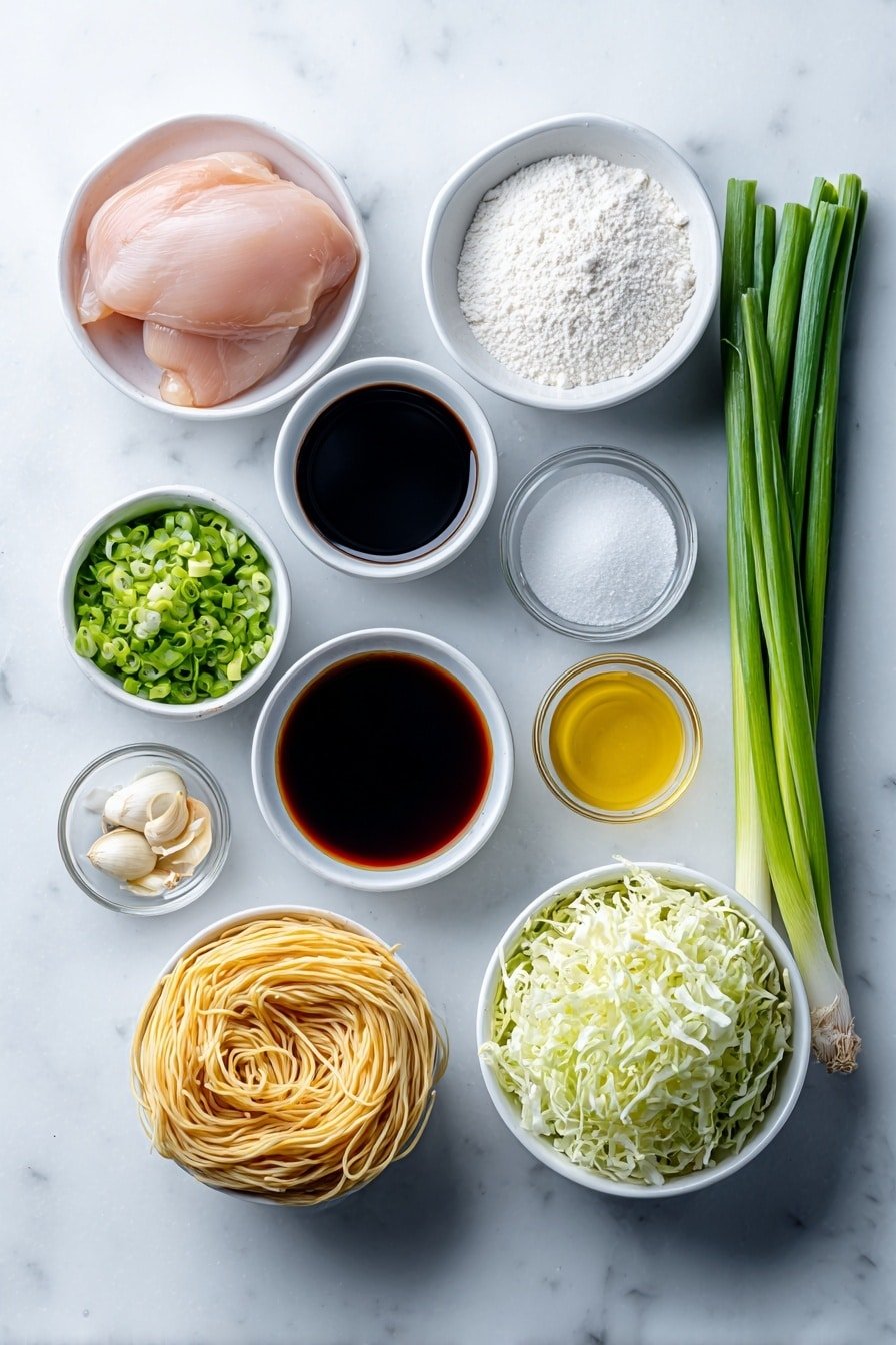 Chicken Chow Mein Stir-Fry Recipe - Ingredients Image — Chicken Chow Mein Stir-Fry, Chicken Chow Mein recipes, easy chicken stir-fry, Asian noodles with chicken, quick weeknight dinner