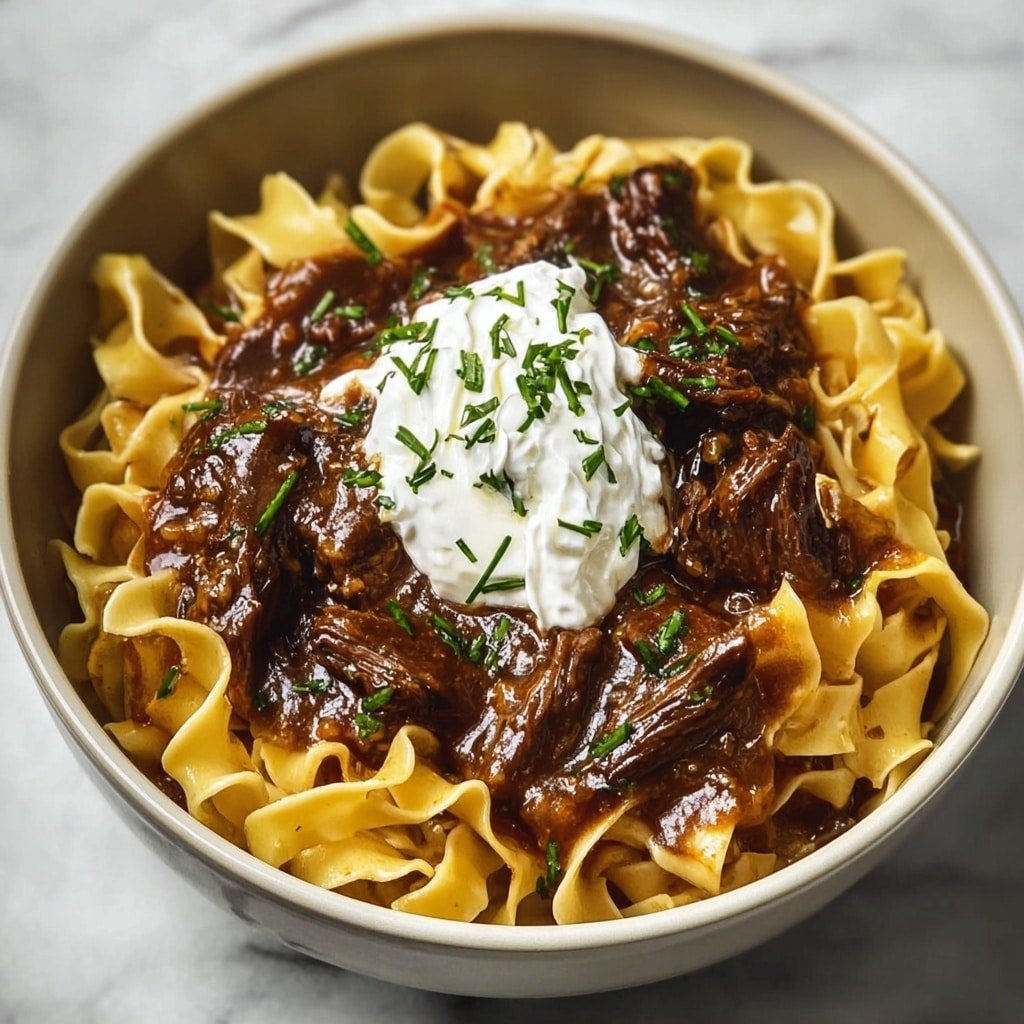 French Onion Beef and Noodles Slow Cooker Recipe